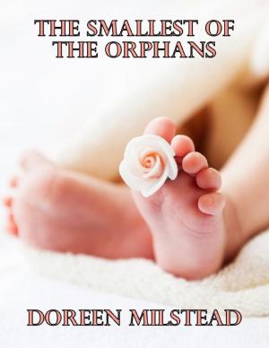 Cover of the book The Smallest of the Orphans by Dr. Stanford E. Murrell