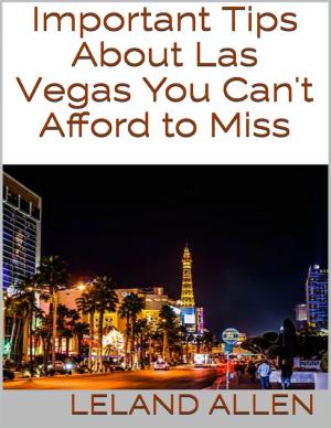 Cover of the book Important Tips About Las Vegas You Can't Afford to Miss by Bill Archer