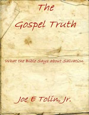Cover of the book The Gospel Truth by Oluwagbemiga Olowosoyo