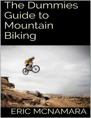 Cover of the book The Dummies Guide to Mountain Biking by Winner Torborg