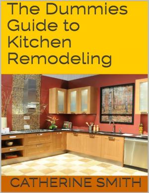 Book cover of The Dummies Guide to Kitchen Remodeling