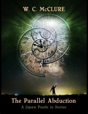 Cover of the book The Parallel Abduction by Joseph Correa