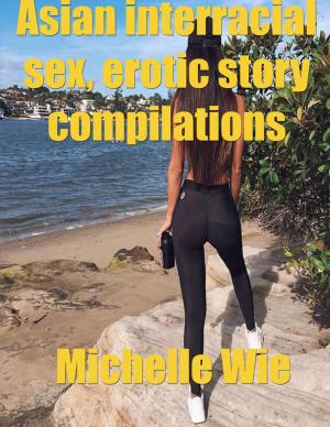 bigCover of the book Asian Erotica Interracial Sex Story, Erotic Stories Compilations by 