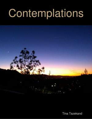 Cover of the book Contemplations by Thomas Ryan