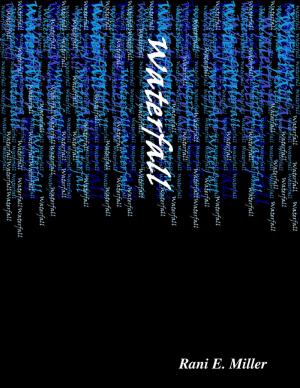 Book cover of Waterfall