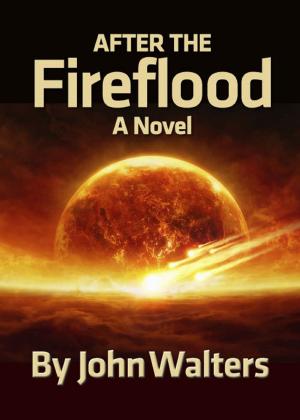 Book cover of After the Fireflood