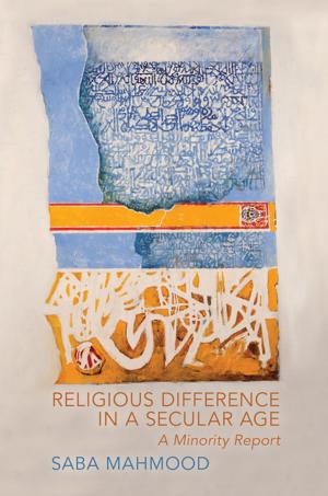 Cover of the book Religious Difference in a Secular Age by Michael Allan
