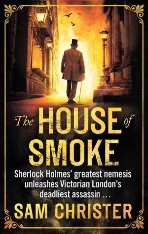 Cover of the book The House Of Smoke by Robert Clifford