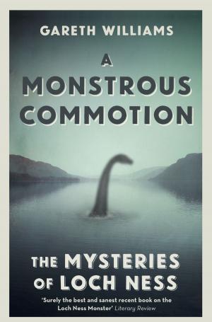 Cover of the book A Monstrous Commotion by James Evans