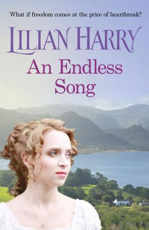 Cover of the book An Endless Song by E.E. 'Doc' Smith, Stephen Goldin