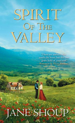 Book cover of Spirit of the Valley