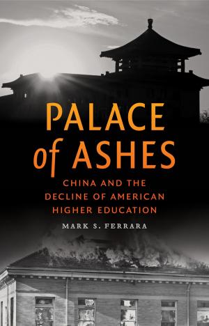 Cover of the book Palace of Ashes by John E. Reynolds III