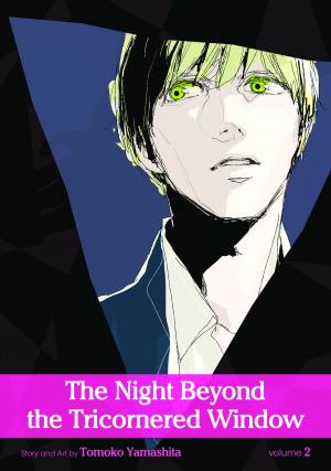 bigCover of the book The Night Beyond the Tricornered Window, Vol. 2 (Yaoi Manga) by 