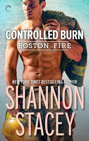 Cover of the book Controlled Burn by Julie Rowe