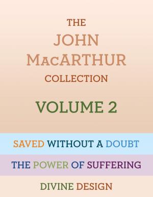 Cover of the book The John MacArthur Collection Volume 2 by Jim Burns, Doug Fields