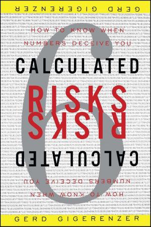 Cover of the book Calculated Risks by Robert Eversz