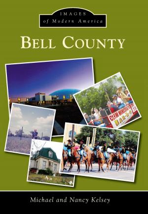 Cover of the book Bell County by Susan R. Perkins, Caryl A. Hopson