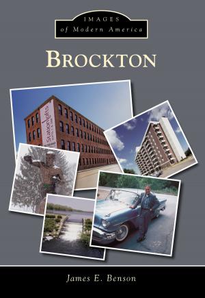 Cover of the book Brockton by Kristin Baggelaar