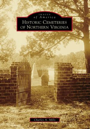 Cover of the book Historic Cemeteries of Northern Virginia by The Irish American Archival Society