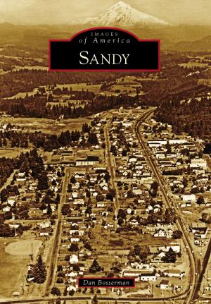 Cover of the book Sandy by Dean Hoffman