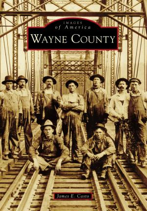 Cover of the book Wayne County by Andrew Walsh