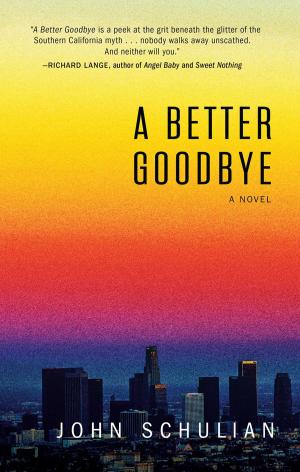 bigCover of the book A Better Goodbye by 