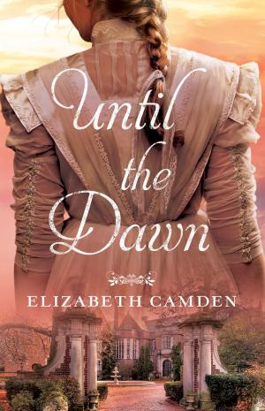 Cover of the book Until the Dawn by Patricia H. Rushford