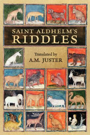 Cover of the book Saint Aldhelm's 'Riddles' by Onno Oerlemans
