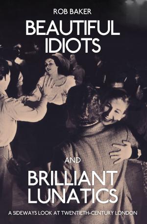 Cover of Beautiful Idiots and Brilliant Lunatics