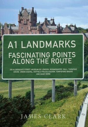 Cover of the book A1 Landmarks by Stephen Butt