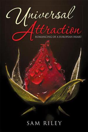 Cover of the book Universal Attraction by JOSEPH ANDERSON, JUDY MILLSPAUGHAN M.D.