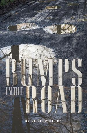 bigCover of the book Bumps in the Road by 