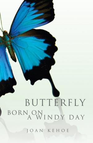 Cover of the book Butterfly Born on a Windy Day by Connie Squiers