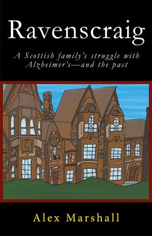 Cover of the book Ravenscraig by Gillian Andrews