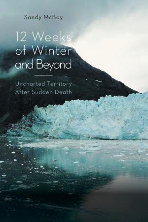 Cover of the book 12 Weeks of Winter and Beyond by Daniel A. Haugen