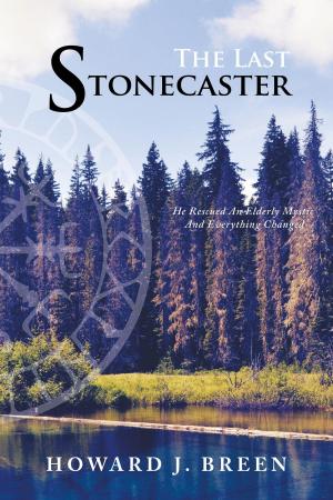Cover of the book The Last Stonecaster by Lin Weich