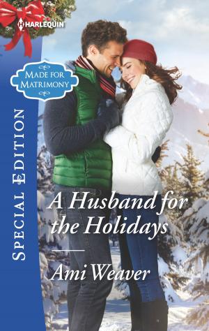Cover of the book A Husband for the Holidays by Jill Kemerer