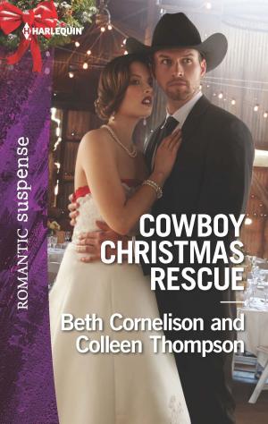 Book cover of Cowboy Christmas Rescue
