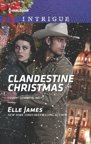 Cover of the book Clandestine Christmas by Carolyn McSparren
