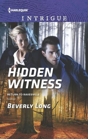 Cover of the book Hidden Witness by Robert Barlow Jr