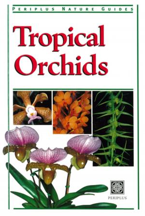 Cover of the book Tropical Orchids of Southeast Asia by Kanji Text Research Group Univ of Tokyo