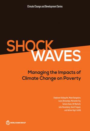 Cover of the book Shock Waves by Gladys Lopez-Acevedo, Denis Medvedev, Vincent Palmade