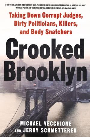 Cover of the book Crooked Brooklyn by Julie Cross