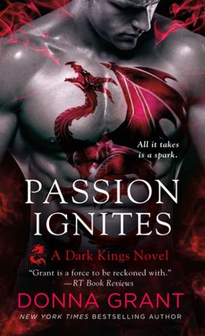 Cover of the book Passion Ignites by Rebecca Maizel