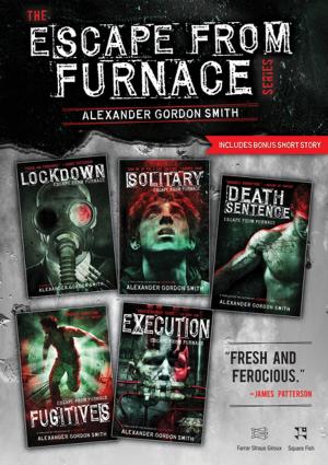 bigCover of the book The Escape from Furnace Series by 