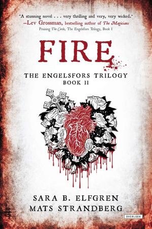 Cover of the book Fire by Hello!Lucky