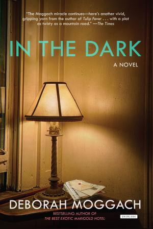 Cover of the book In The Dark by Susan Harlan, Becca Stadtlander