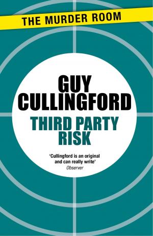 Cover of the book Third Party Risk by Garry Kilworth
