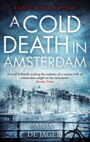 Book cover of A Cold Death in Amsterdam