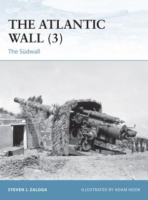 Cover of the book The Atlantic Wall (3) by Asher Kaufman